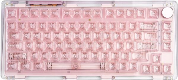 KiiBoom Phantom 81 V2 Mechanical Gaming Keyboard Review Hot Swappable RGB Backlit Design