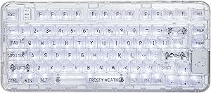 8145nosjaFL.__AC_SX300_SY300_QL70_ML2_ CoolKiller CK75 Transparent Mechanical Keyboard review rechargeable wireless gaming keyboard with RGB backlit